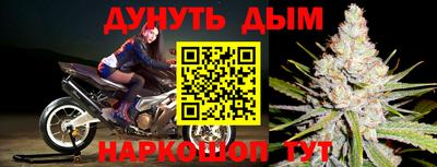 прущие грибы Севастополь