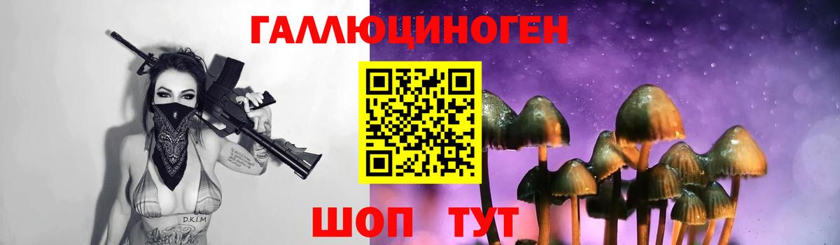 Галлюциногенные грибы Psilocybe  Вход с VPN  Сокол  Псилоцибиновые грибы MAGIC MUSHROOMS 