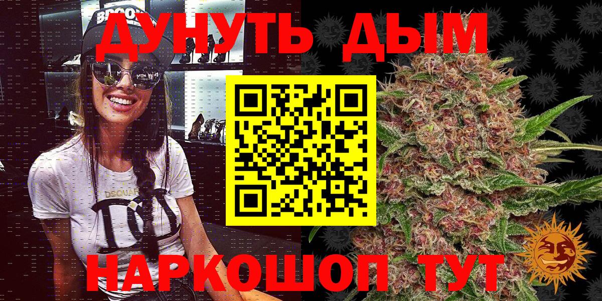 Бошки марихуана конопля Сокол